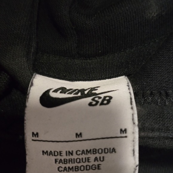 Nike SB Tiger Hoodie - Picture 4 of 4
